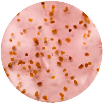 Гель-скраб для тіла SERSANLOVE Skin Friendly Strawberry з екстрактом полуниці 260 мл