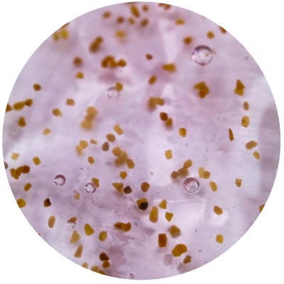 Гель-скраб для тіла SERSANLOVE Water Spirit Small Grapes з екстрактом винограду 260 мл