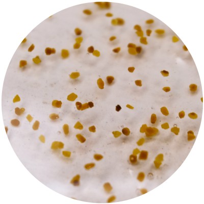 Гель-скраб для тіла SERSANLOVE Sweet Cherry з екстрактом вишні 260 мл