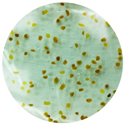 Гель-скраб для тіла SERSANLOVE Charming Little Blueberry з екстрактом чорниці 260 мл