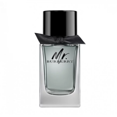 Туалетна вода чоловіча Burberry Mr. Burberry 100 мл (Euro)