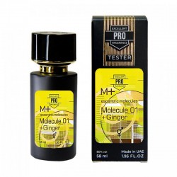 EM Parfums Molecule 01 + Ginger ТЕСТЕР PRO унісекс 58 мл
